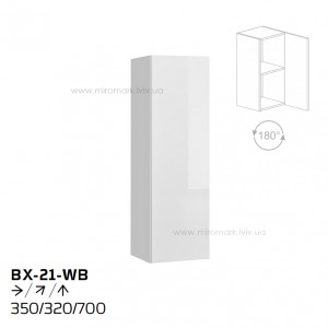 Модуль BX-21-WB
