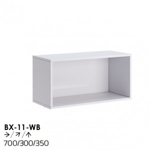 Модуль BX-11-WB